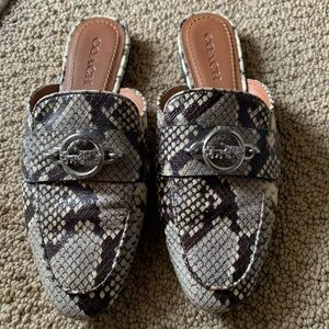 Coach leather mule slides